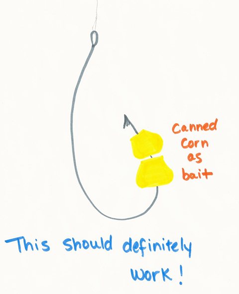 Corn Bait